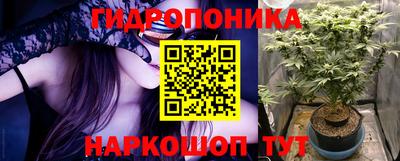 сатива Можга