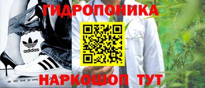 сатива Можга
