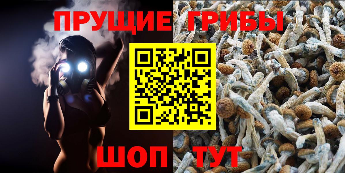 Галлюциногенные грибы Psilocybe Дюртюли