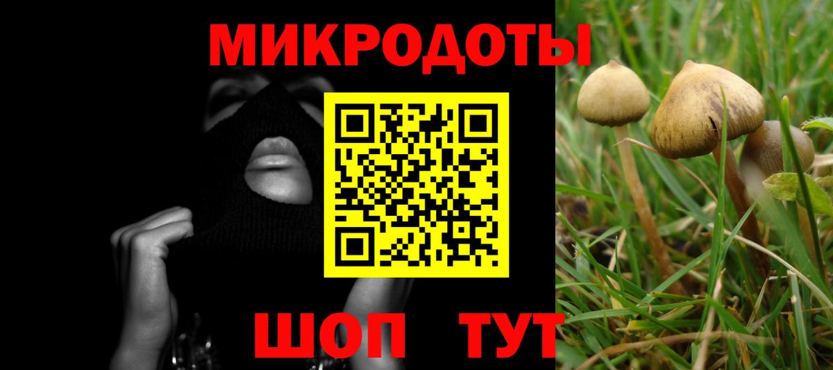 дарнет шоп  Вход с VPN  Галлюциногенные грибы Cubensis  Дюртюли  Псилоцибиновые грибы мицелий 