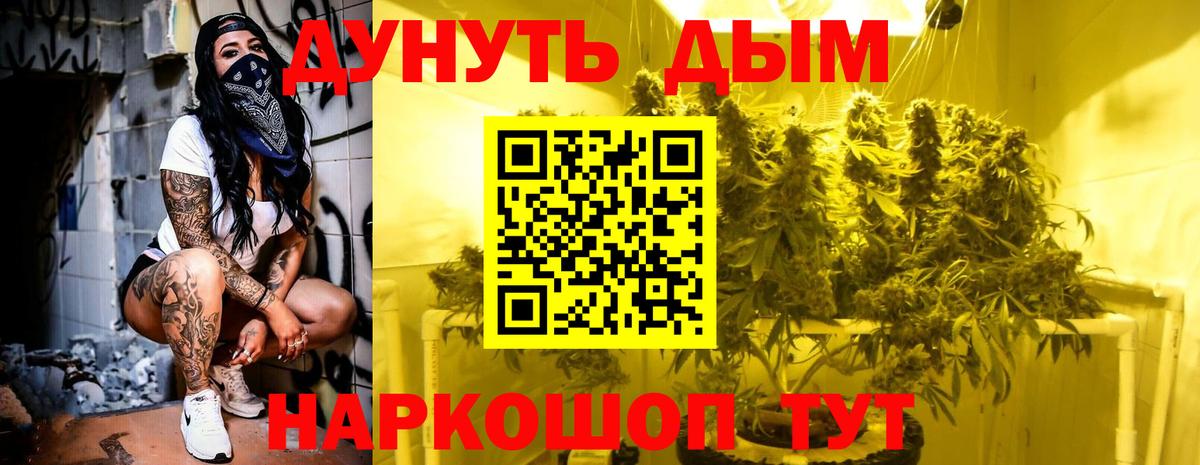 Шишки марихуана план  Вход с VPN  Каннабис Bruce Banner  Дюртюли  Шишки марихуана AK-47 